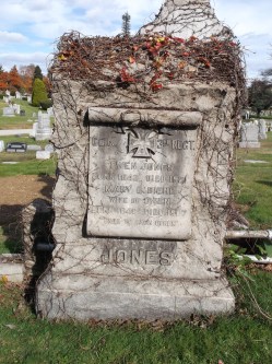 159244924_1510338436